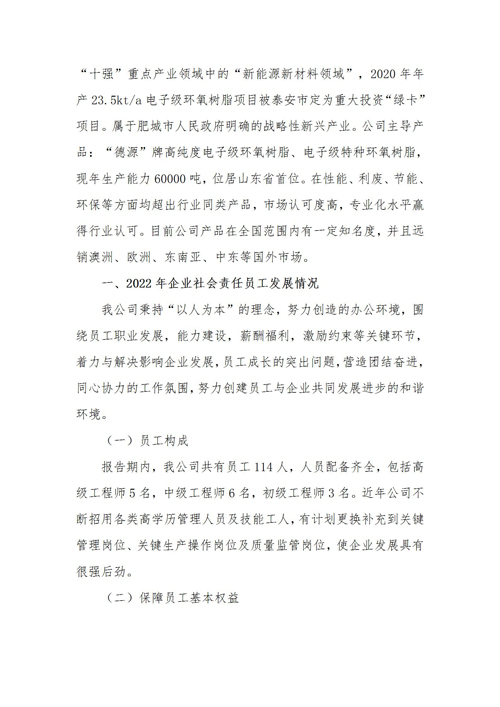 山東德源環(huán)氧科技有限公司2022年度社會(huì)責(zé)任報(bào)告2